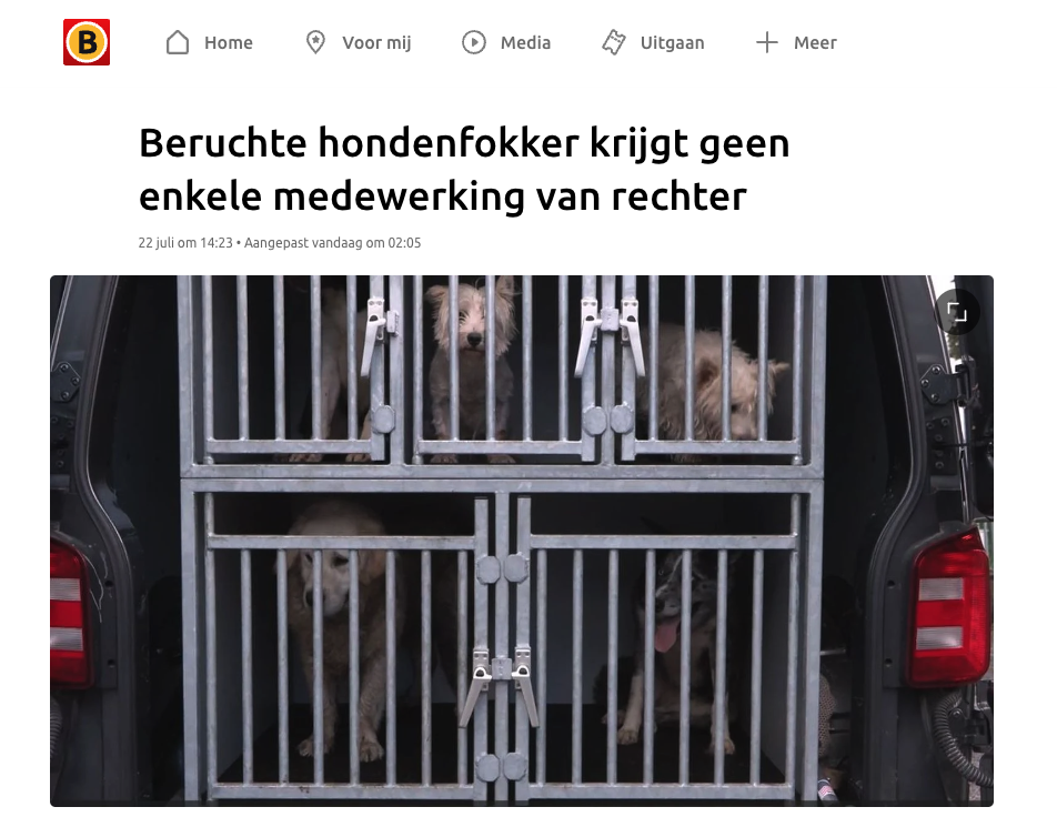 Beruchte hondenfokker krijgt geen enkele medewerking van rechter
22 juli 2024