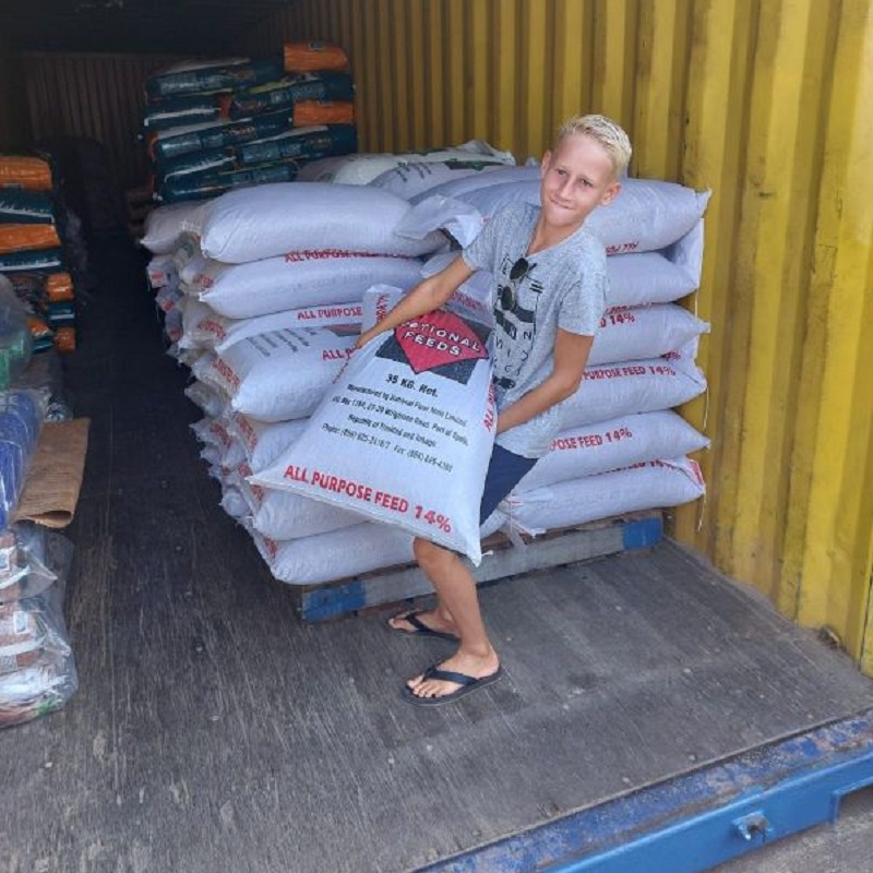 Nederlandse zeilers helpen uitgehongerde dieren na orkaan Beryl