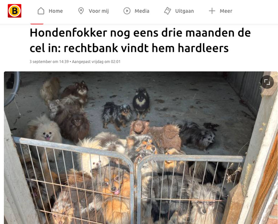 Hondenfokker nog eens drie maanden de cel in: rechtbank vindt hem hardleers