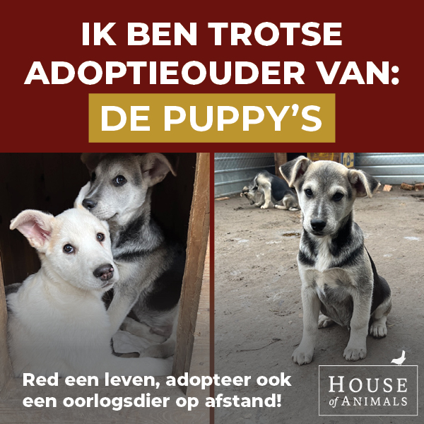 Ik ben trotse adoptieouder.