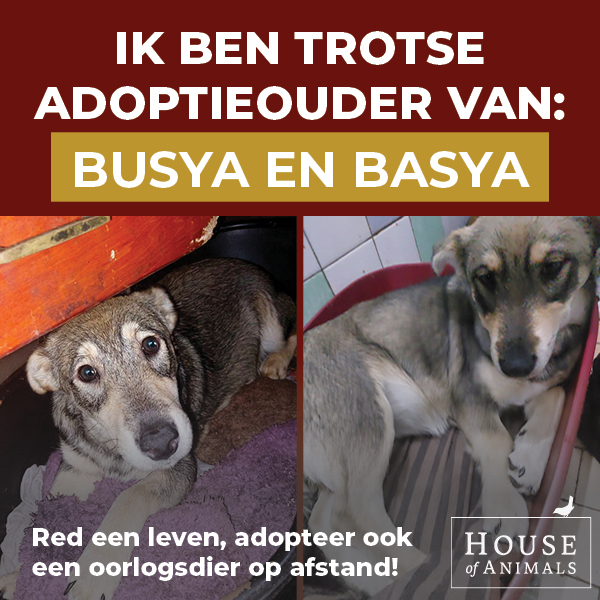 Ik ben trotse adoptieouder.