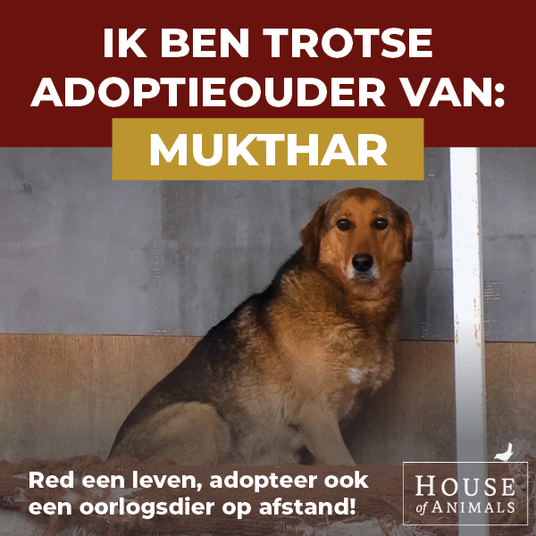 Ik ben trotse adoptieouder.