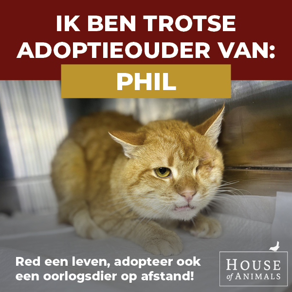 Ik ben trotse adoptieouder.