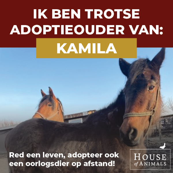 Ik ben trotse adoptieouder.